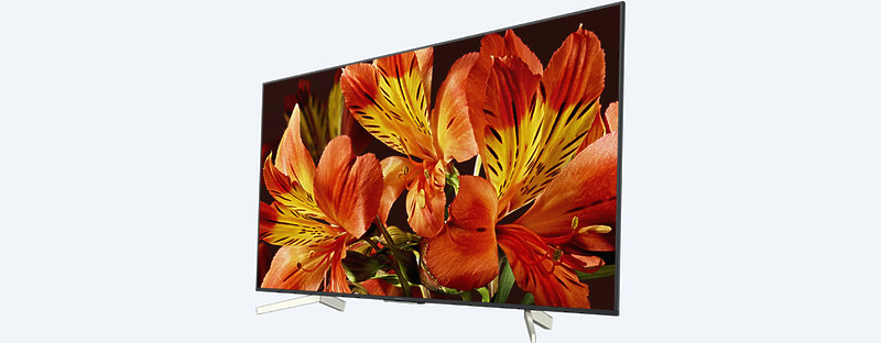 LED телевизор Sony KD-65XF8596BR2 артикул 176152Si-1 фото 7
