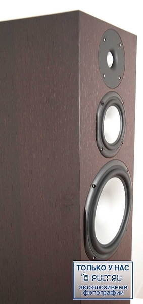 Chario Syntar 533 wenge артикул 400282FV-1 фото 12