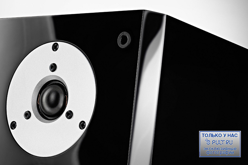Напольная акустика Dynaudio Focus 380 maple артикул 397823FV-1 фото 4