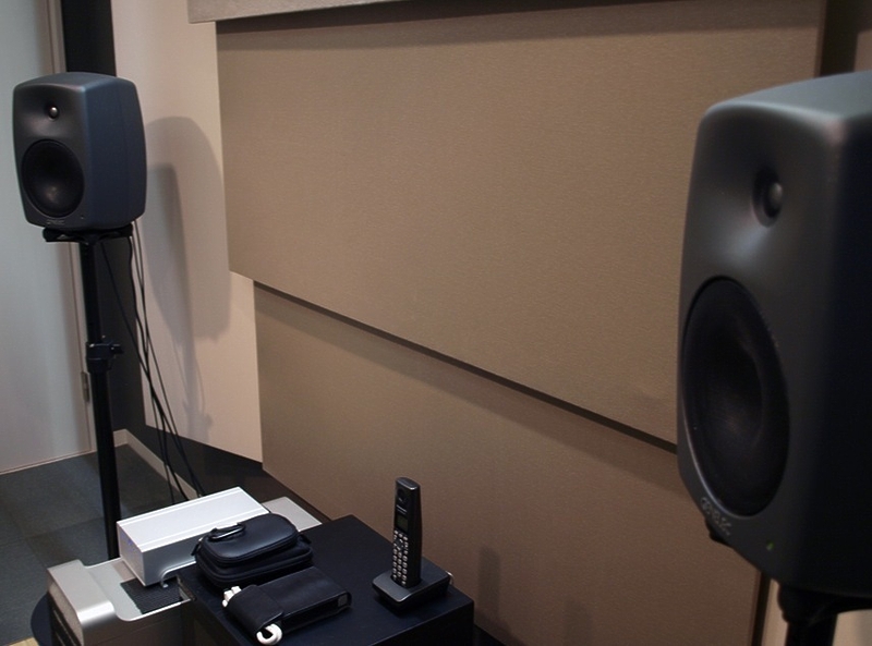 Genelec 8250APM DSP артикул 106741Si-1 фото 5