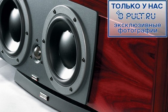 Центральный канал Dynaudio Contour SC rosewood артикул 434147FV-1 фото 3