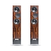 Напольная акустика LIVING VOICE AVATAR II walnut