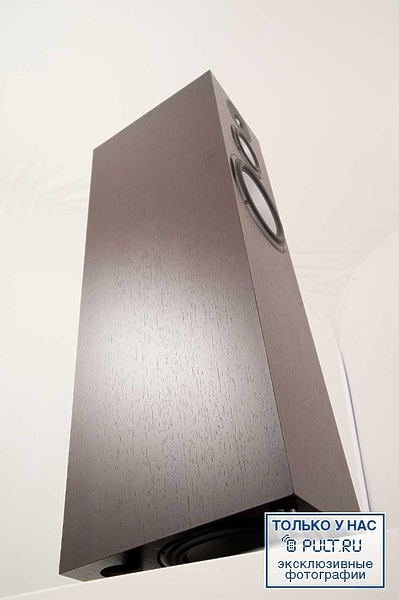 Chario Syntar 533 wenge артикул 400282FV-1 фото 9