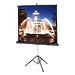 Экран Projecta ProView 178x178 cm (96") Matte White на штативе (10430113)