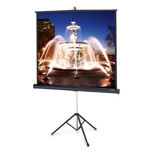 Экран Projecta ProView 178x178 cm (96") Matte White на штативе (10430113) артикул 345690FV-1