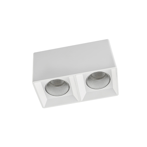 Светильник накладной Denkirs DK3085-WH+CH (White Chrome) артикул 270680Si-1
