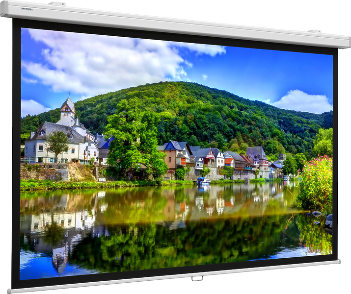 Экран Projecta ProScreen 179x280 cm (125") Matte White настенный рулонный (10201069) артикул 255520FV-1