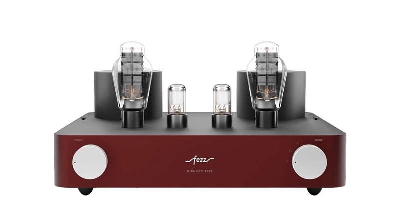 Ламповый интегральный усилитель Fezz Audio Mira Ceti 300b EVO Big Calm артикул 306624Si-1 фото 4