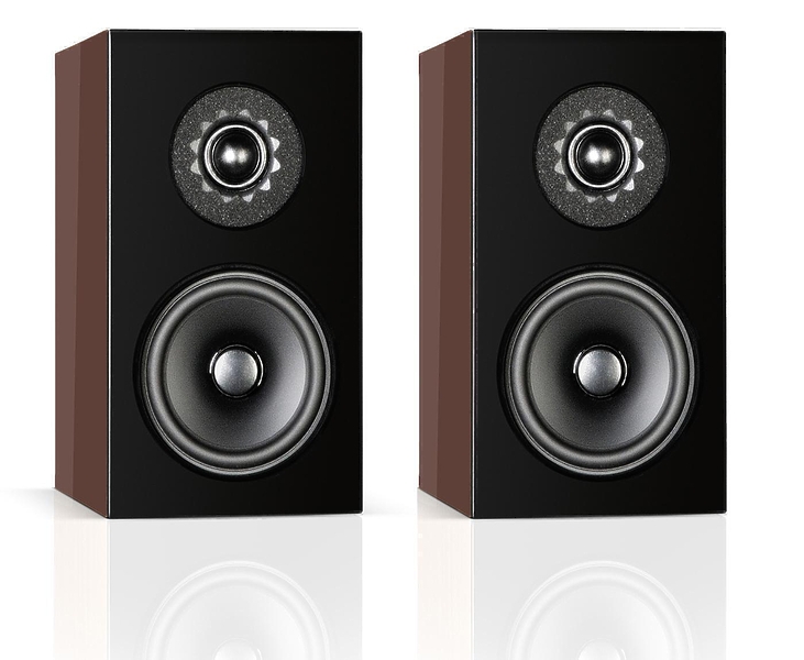 Audio Physic Classic Compact Caramel Brown (RAL1370) артикул 340801SI-1