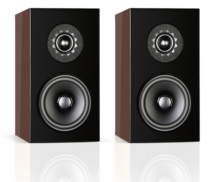 Полочная акустика Audio Physic Classic Compact Caramel Brown (RAL1370) артикул 151359Si-1