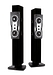 Напольная акустика Dynaudio Confidence C2 MKII black