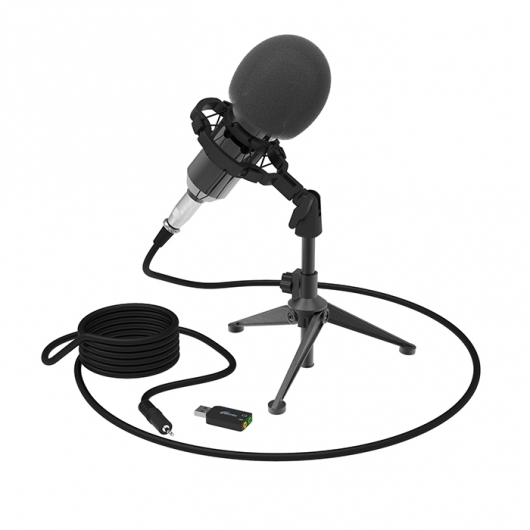 Микрофон Ritmix RDM-160 Black артикул 194614Si-1