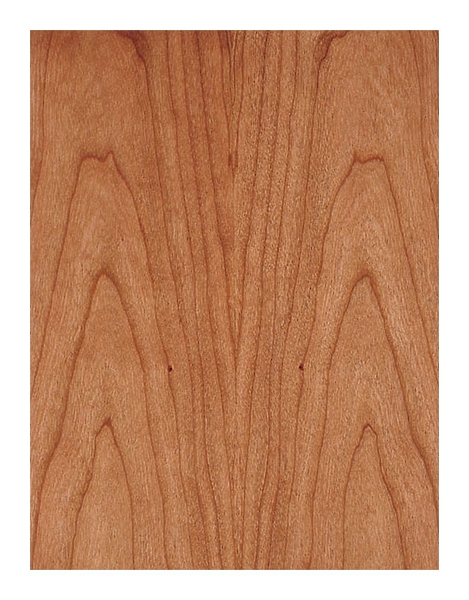 Напольная акустика Audio Physic Tempo VI cherry артикул 141806Si-1 фото 5
