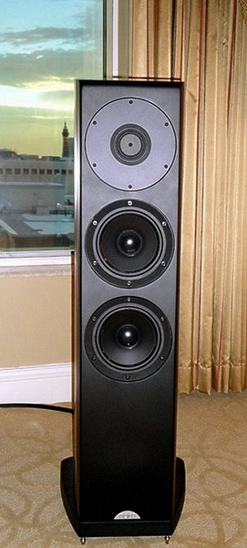 Напольная акустика Naim Ovator S-600 active black zebrano артикул 143454Si-1 фото 4