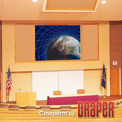 Экран Draper Cineperm 635/250" CRS артикул 258039FV-1 фото 4