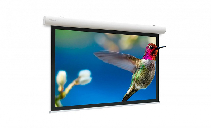 Экран Projecta Elpro Concept 228x360 см (168") Matte White (с чёрн.каймой) с эл/приводом 16:10 (10101576) артикул 149369Si-1