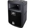 Peavey PR 10 артикул 122783Si-1
