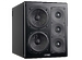 Студийный монитор MK Sound MPS2520Р Left