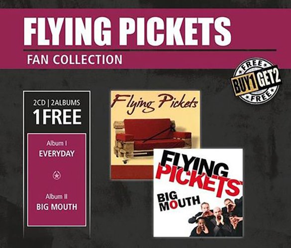 CD диск In-Akustik Flying Pickets, Everyday & Big Mouth, 0169156 артикул 267309Si-1
