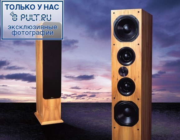 Акустическая система ProAc Response D100 maple артикул 429470FV-1 фото 3