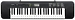Клавишный инструмент Casio CTK-245