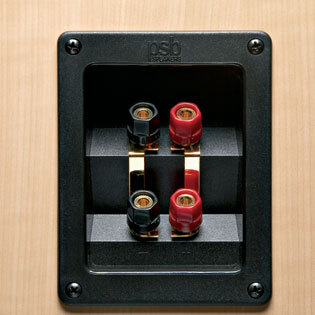 Акустическая система PSB Image T45 black артикул 426681FV-1 фото 5