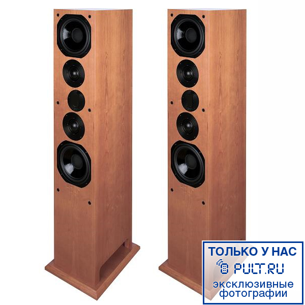 Акустическая система ProAc Response D80R maple артикул 403128FV-1 фото 3