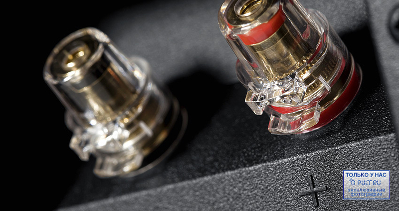 Напольная акустика Dynaudio Focus 380 maple артикул 397823FV-1 фото 6