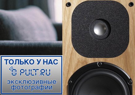 Акустическая система NEAT acoustics Motive 3 walnut артикул 444910FV-1 фото 4