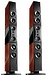 Напольная акустика Dynaudio Evidence Platinum rosewood high gloss