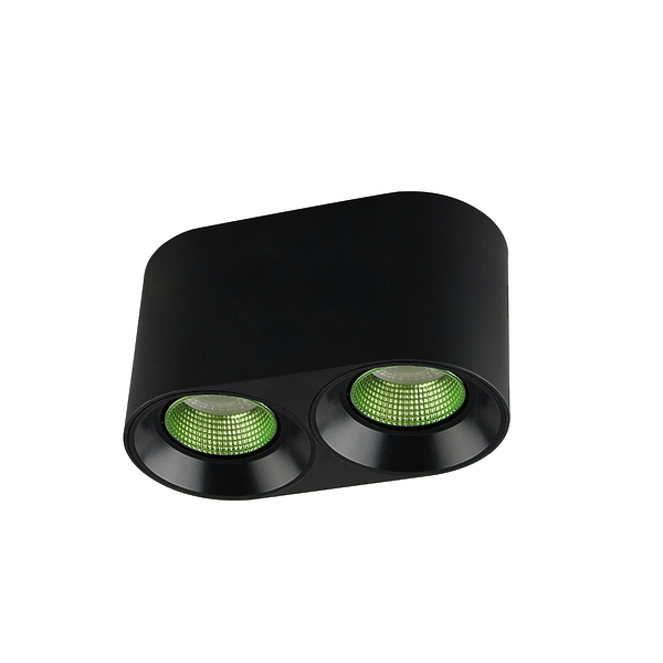 Светильник накладной Denkirs DK3096-BK+GR (Black Green) артикул 270714Si-1