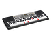 Клавишный инструмент Casio LK-260