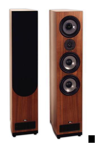 Акустическая система T+A TS 300 Black артикул 395726FV-1