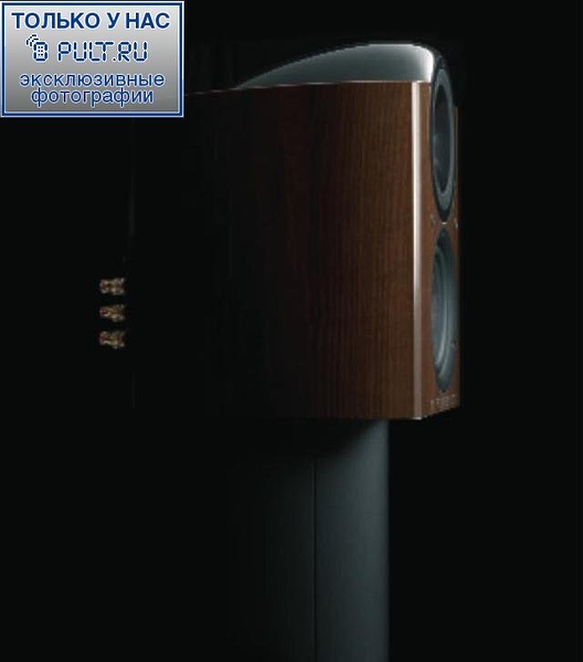 KEF REF 201/2 WALNUT GLOSS артикул 449017FV-1 фото 6