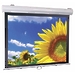 Экран ScreenMedia Cyber-P 213*213 FMW