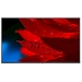 LED панель NEC MultiSync MA551