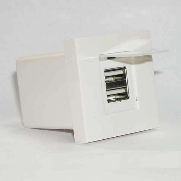 Розетка 2xUSB Dr.HD SOC 2x USB CG артикул 175815Si-1