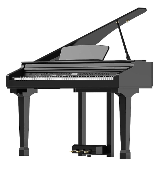 Цифровой рояль Ringway GDP1120 Black артикул 235364Si-1