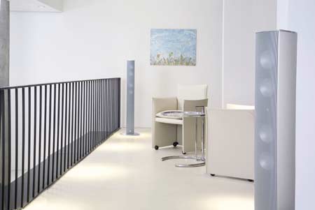 Напольная акустика Canton CD 1090 silver high gloss (пара) артикул 403148FV-1 фото 3