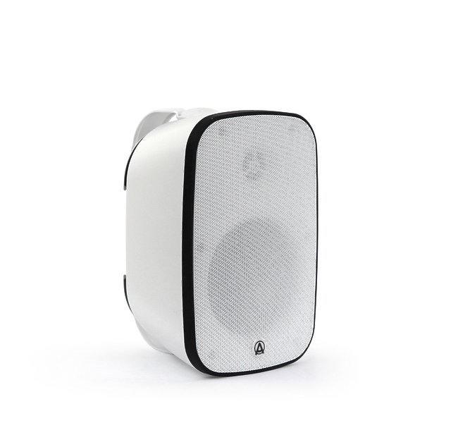 Трансляционная акустика AuraSonics DENSE-5T-WH артикул 298049Si-1 фото 3