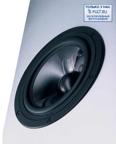 Настенная акустика Vienna Acoustics Webern silver артикул 433451FV-1 фото 5