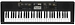 Клавишный инструмент Casio CTK-2400
