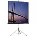 Projecta Picture King 162х213см (100") Matte White на штати
