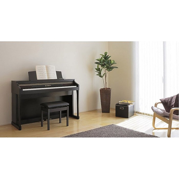 Клавишный инструмент Kawai CA-17 Black артикул 138536Si-1 фото 3