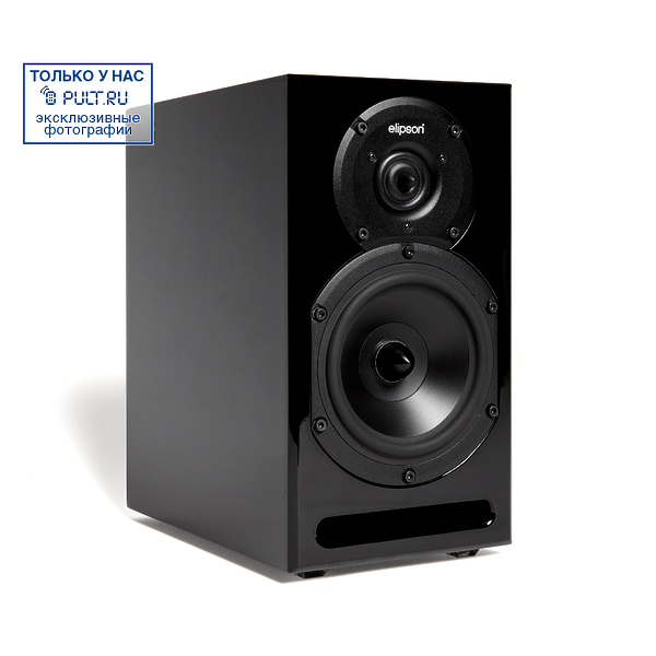 Акустическая система Elipson Studio Pro High Gloss Black артикул 447898FV-1 фото 4