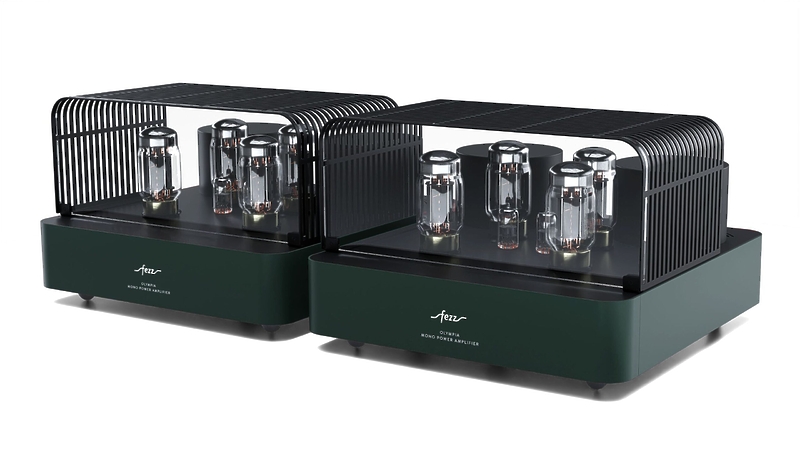 Ламповый усилитель мощности Fezz Audio Olympia Power Amplifier EVO Evergreen артикул 334085Si-1 фото 4