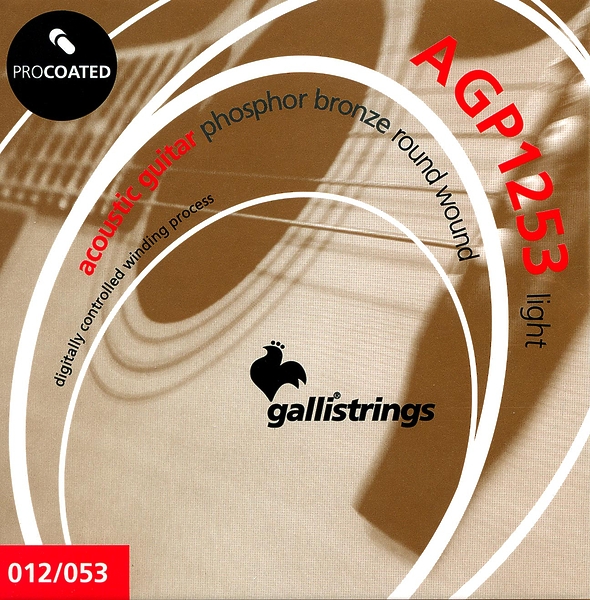 Струны для акустической гитары Galli Strings AGP1253 артикул 321226Si-1