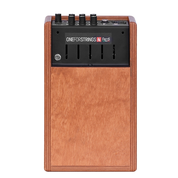 Комбоусилитель для гитары Acus One ForStrings 4Ferdi Wood артикул 333792Si-1 фото 5