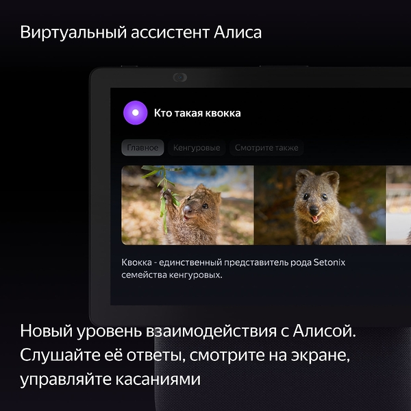 Станция Яндекс Дуо Макс Black артикул 309799Si-1 фото 12