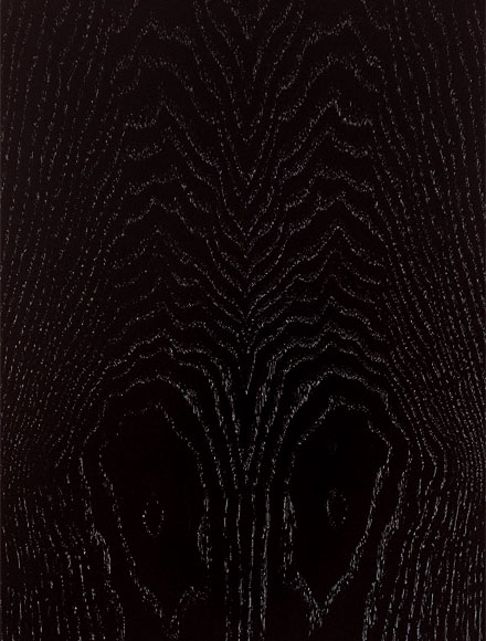 Напольная акустика Audio Physic Avantera III Black Ash артикул 162845Si-1 фото 6